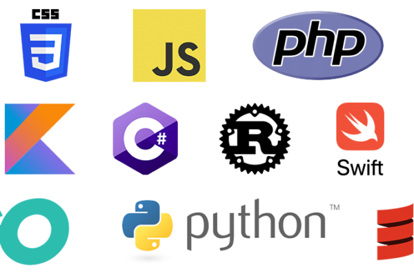 the most popular programming languages to learn